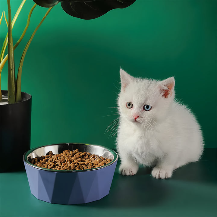 Stainless Steel Raised Cat Food Bowl with Non-Slip Base