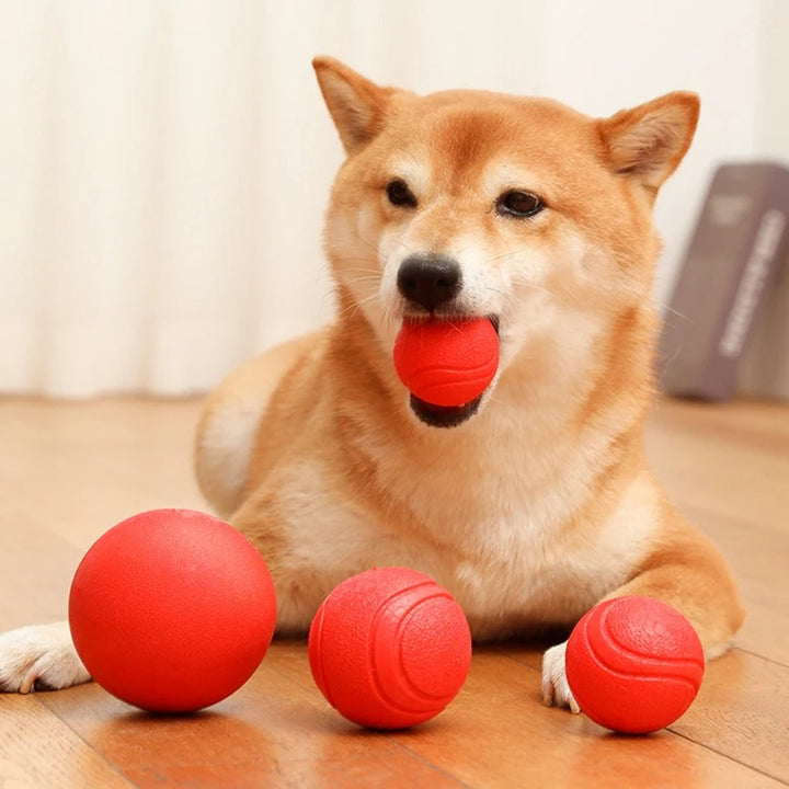 Bouncy Rubber Dog Training Ball