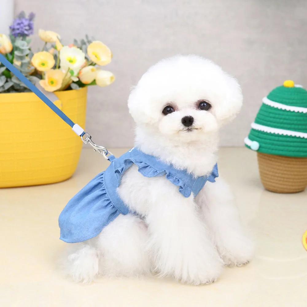 Luxury Denim Dog Dress