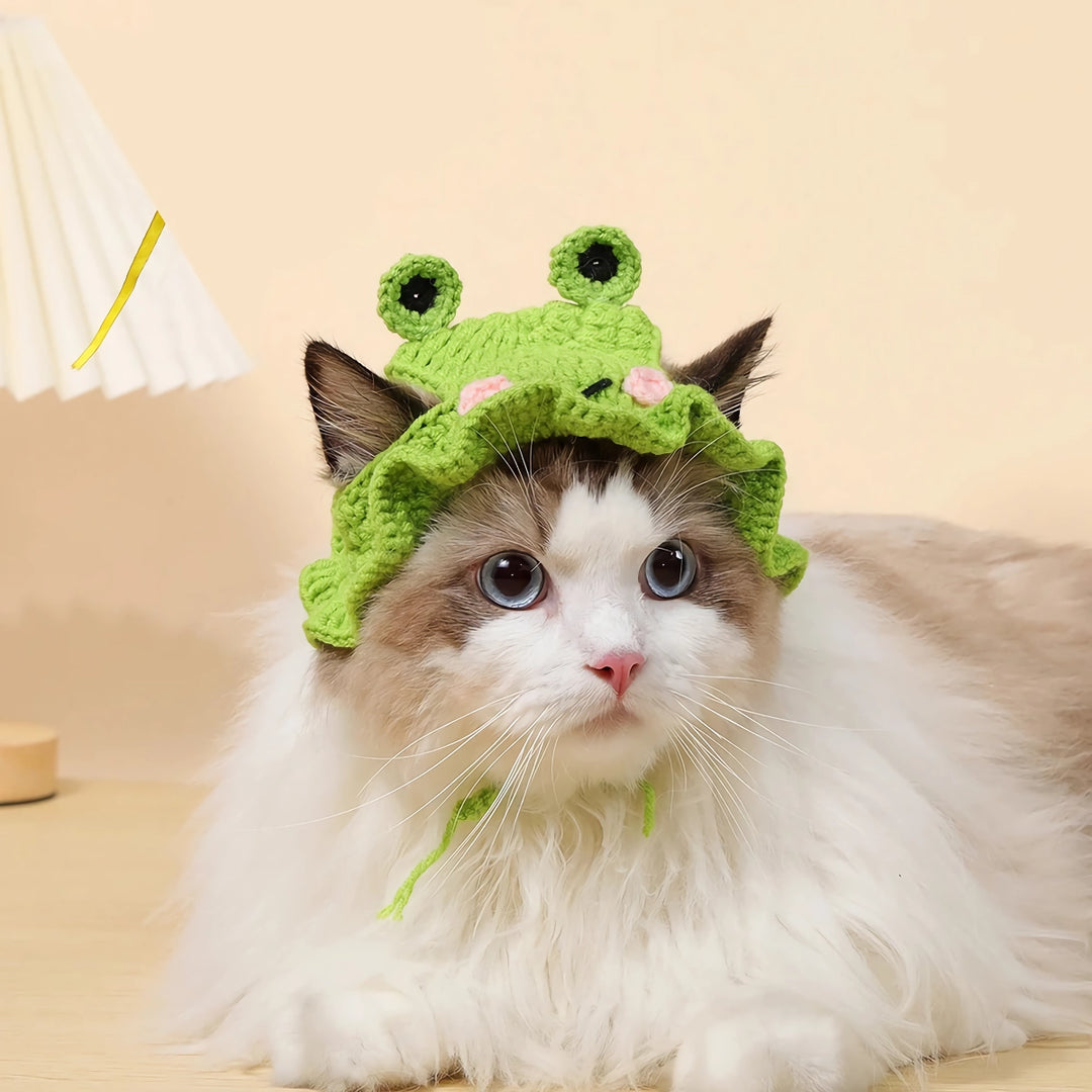 Cute Knitted Hat for Cats