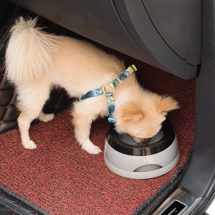 Splash-Proof Travel Pet Bowl