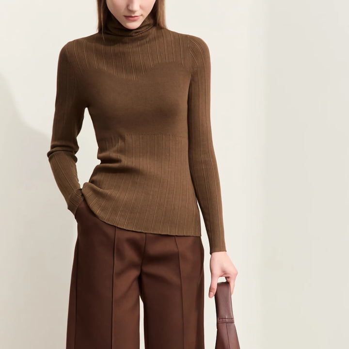 Elegant Autumn Turtleneck Sweater