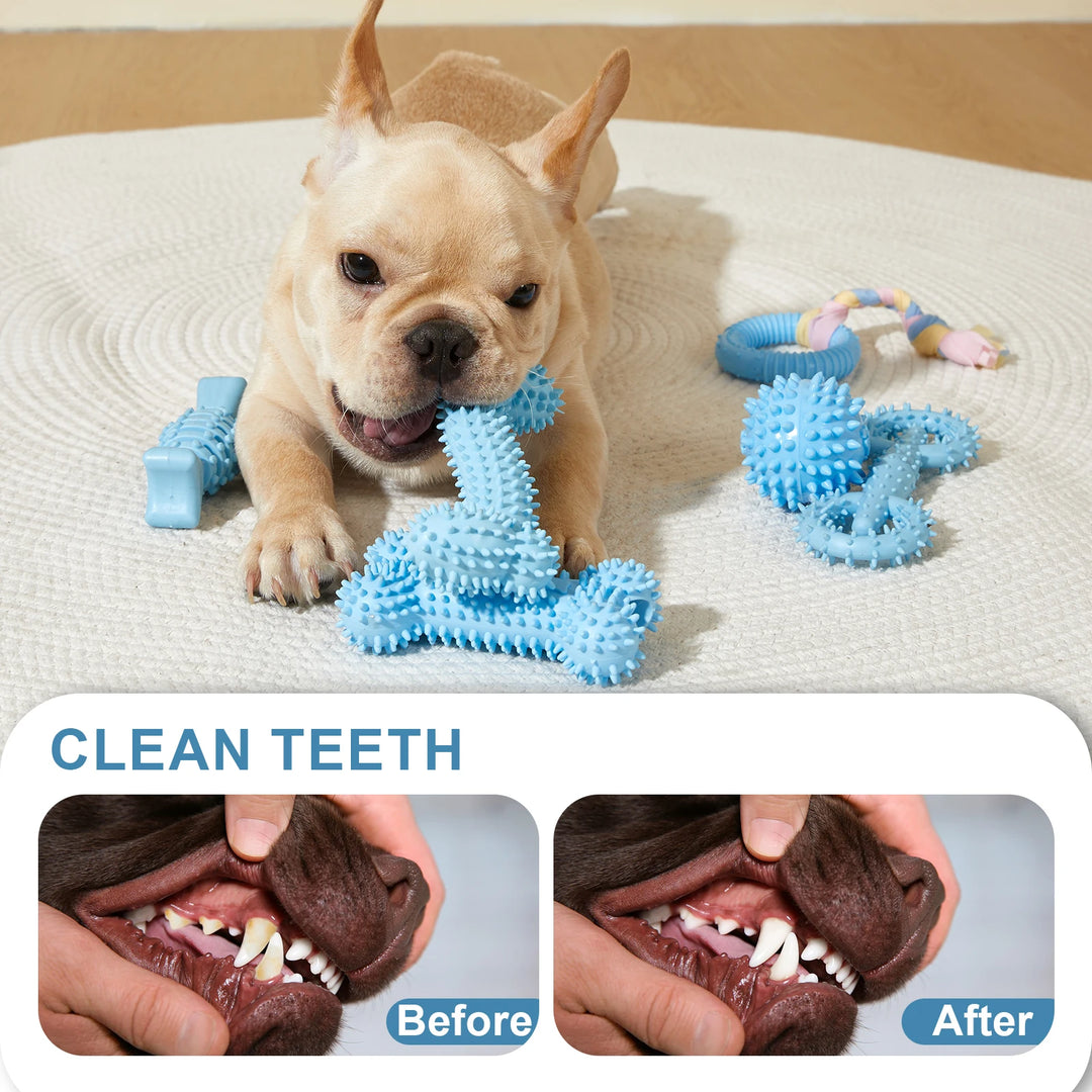 Interactive Dog Chew Toy Set for Cleaning Teeth