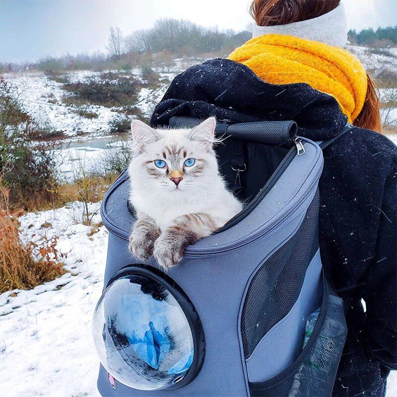 Space Capsule Pet Backpack