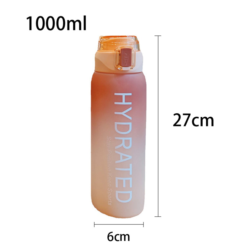 Large Capacity Gradient Frosted Water Bottle