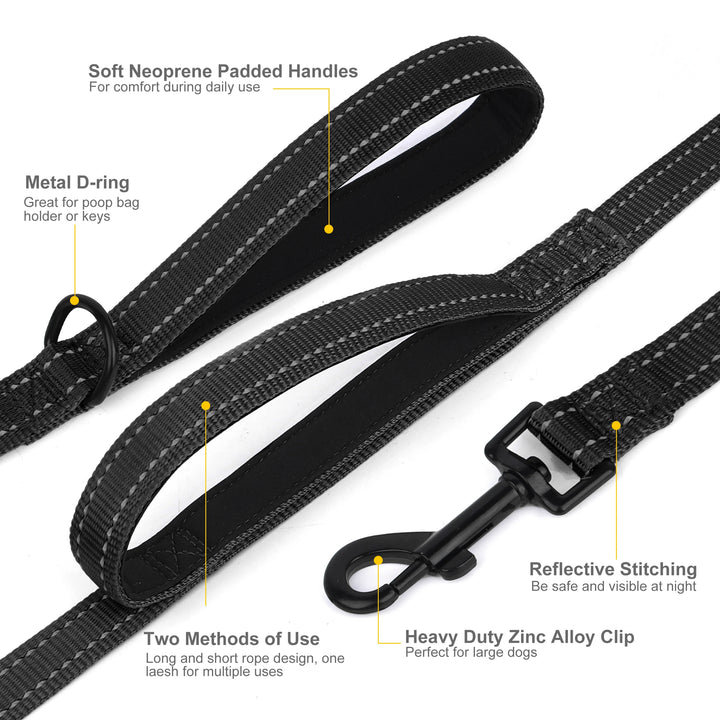 5ft Double Handle Nylon Dog Leash