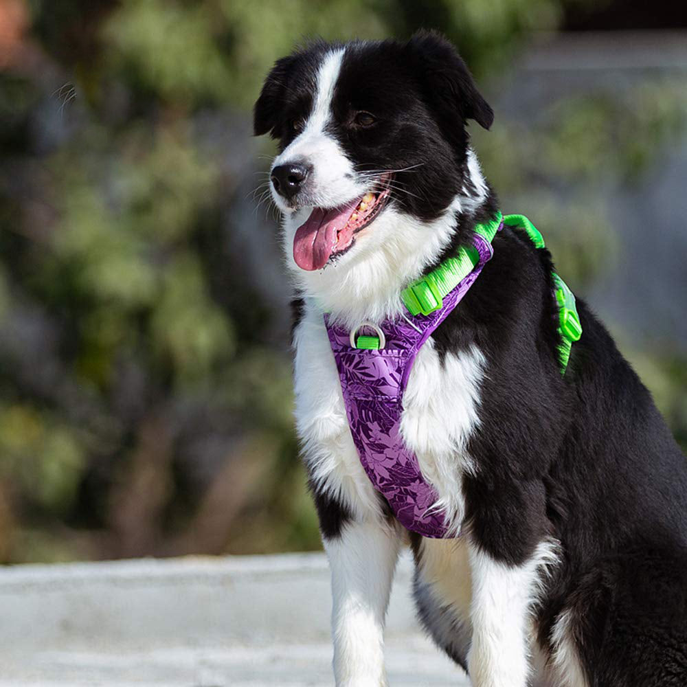 Explosion-proof Reflective Camouflage Dog Harness with Aviation Aluminum Buckle