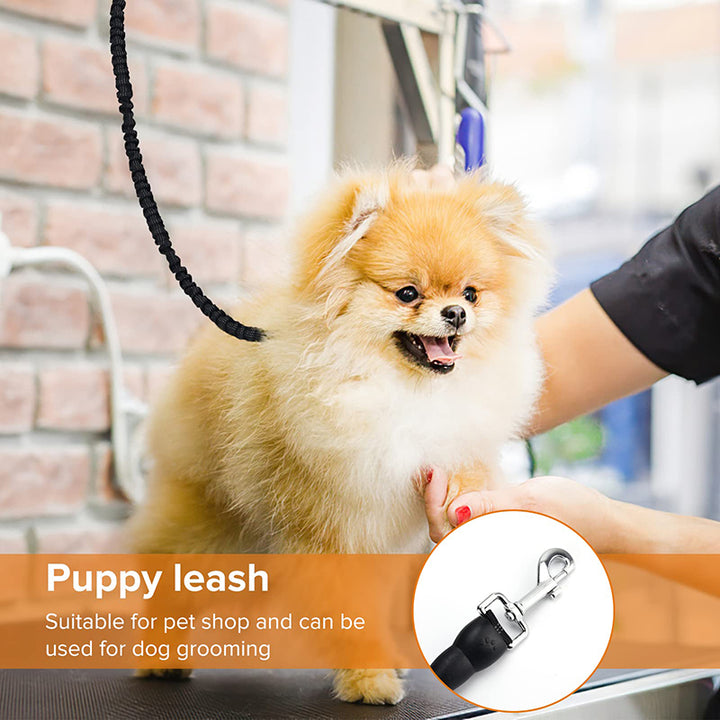 Stretchable Dog Leash