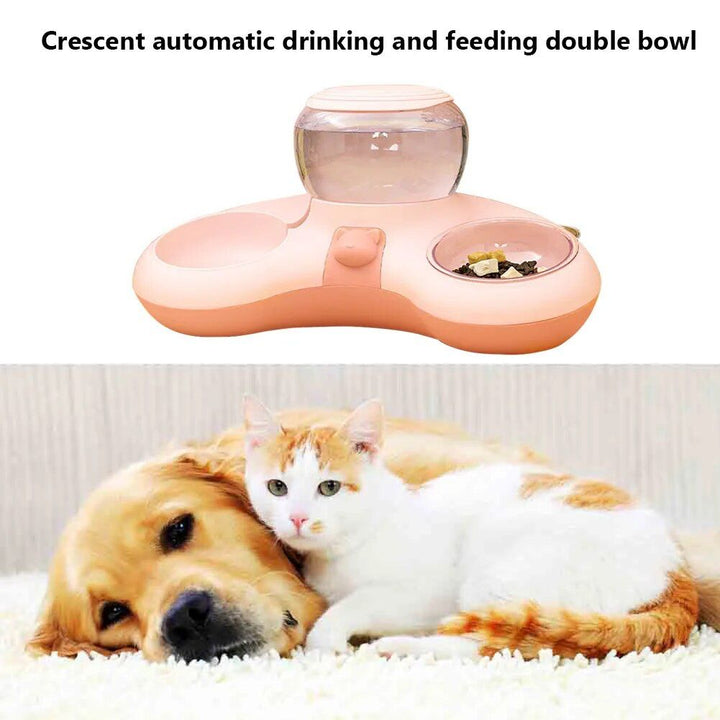 3-in-1 Automatic Cat Feeder