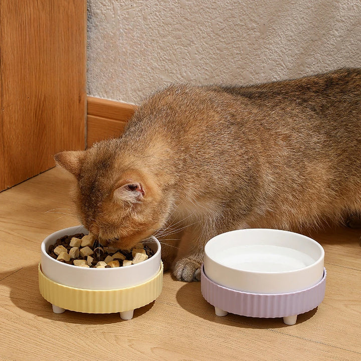 Ceramic Cat & Dog Bowl