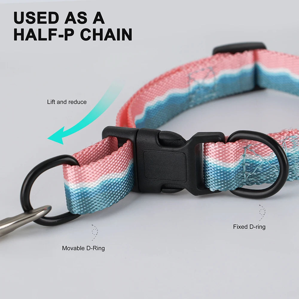 Adjustable Nylon Dog Collar