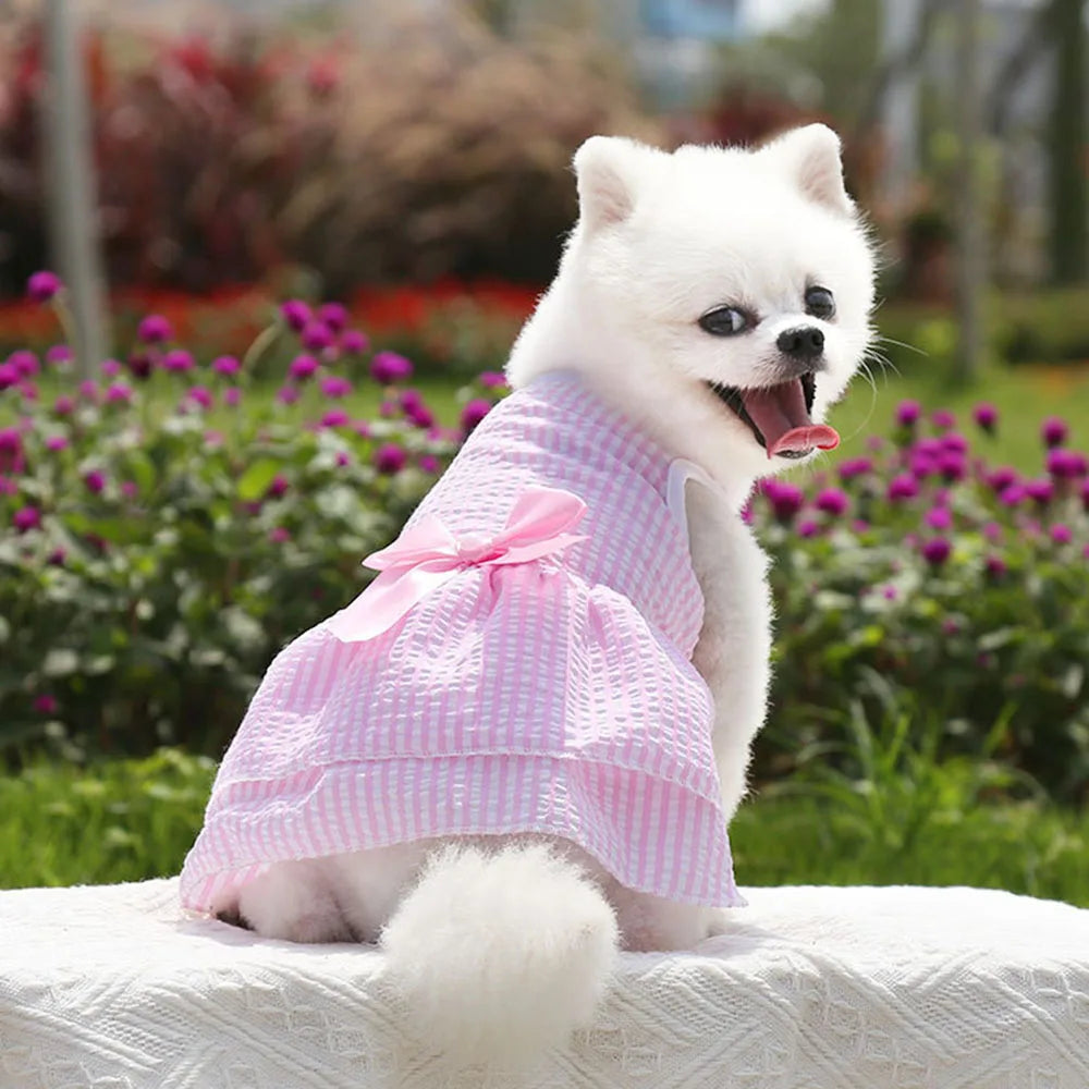 Dog Princess Dress