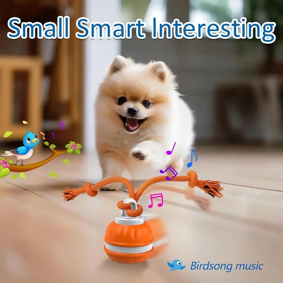 Interactive Motion-Activated Rolling Dog Ball for Puppies & Cats