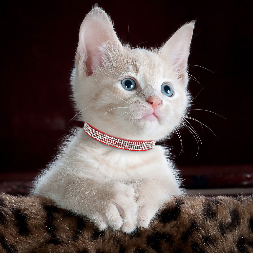 Soft Suede Rhinestone Cat Collar