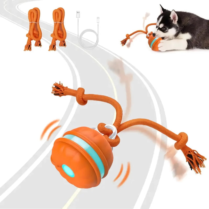 Interactive Motion-Activated Rolling Dog Ball for Puppies & Cats