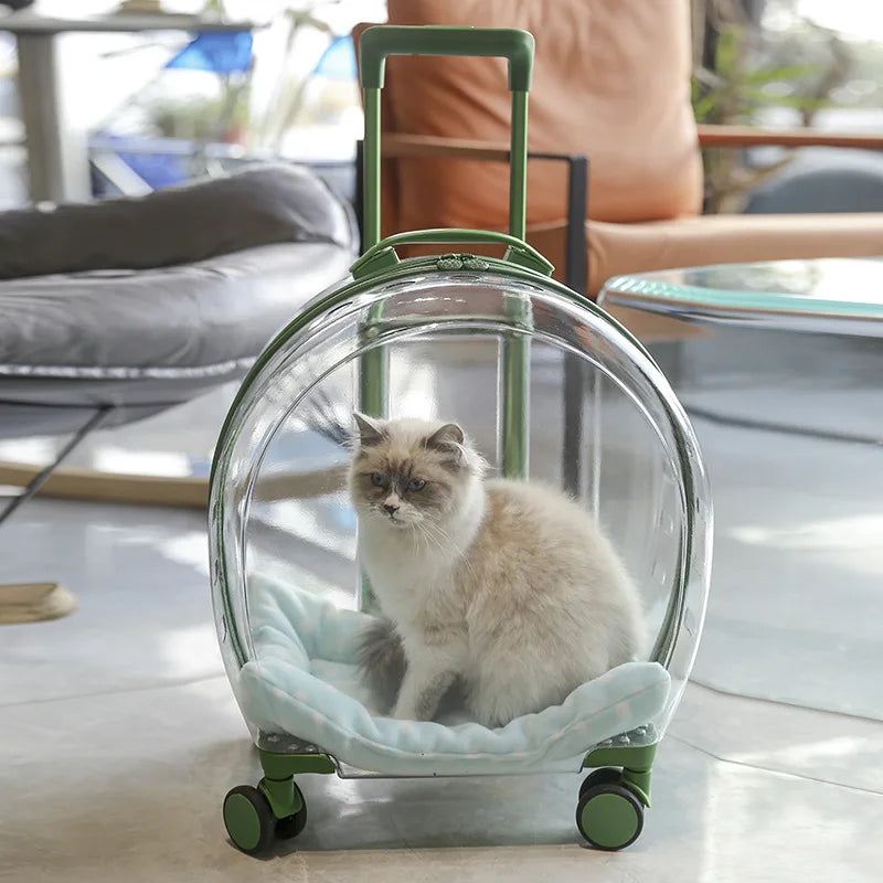 Transparent & Translucent Pet Trolley Backpack for Cats & Small Dogs