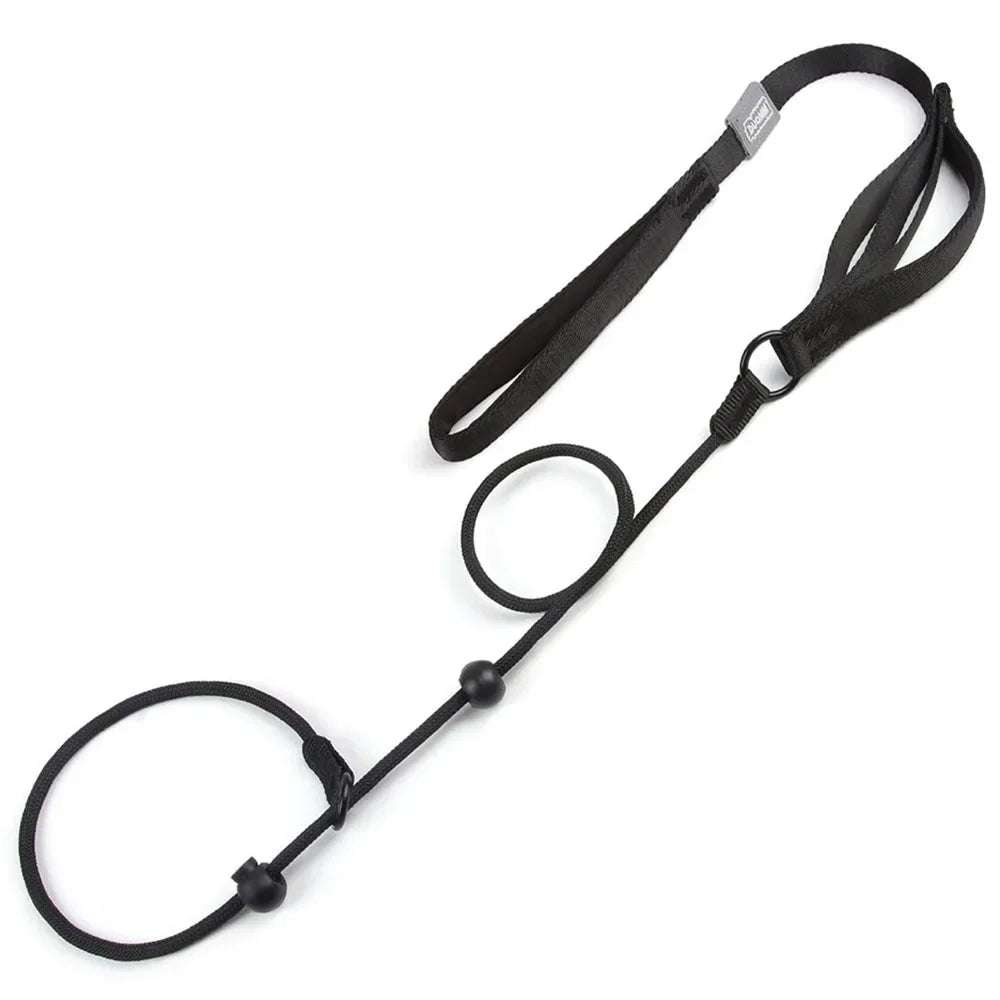 Adjustable Slip Lead Dog Leash