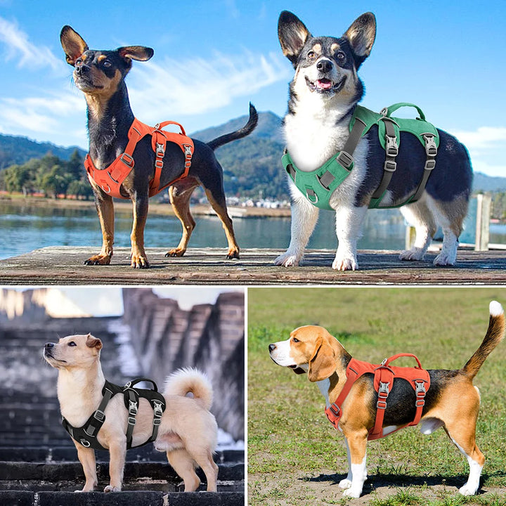 Reflective Nylon Dog Harness with Handle