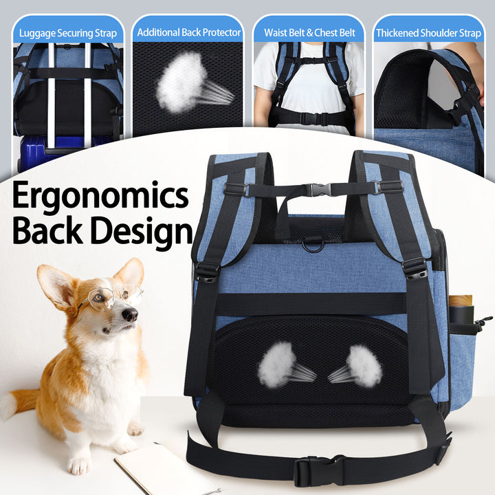 Airline Approved Pet Backpack Carrier