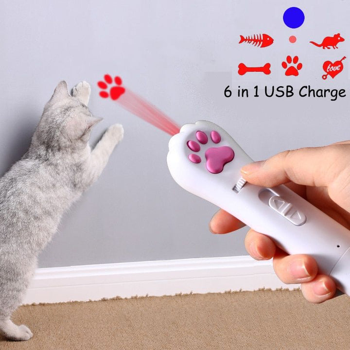 6-in-1 USB Rechargeable Pet Laser Toy with LED & UV Functions