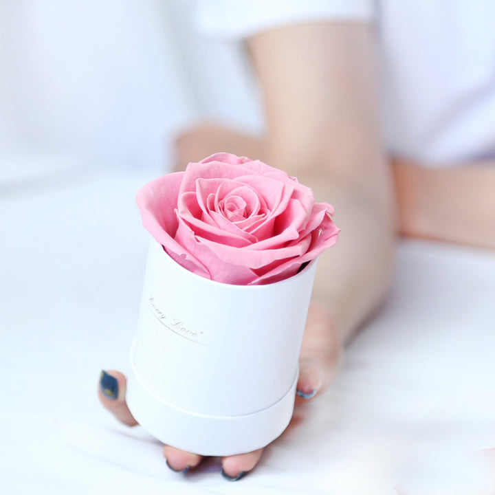 Thanksgiving Day Gift For Mother Flower Pot 1 A- A Rose Production Upgrade Small Size Gift Box