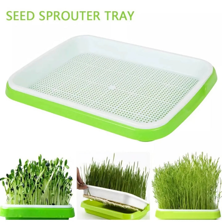 Horticultural Hydroponic Microgreens Sprouter Tray