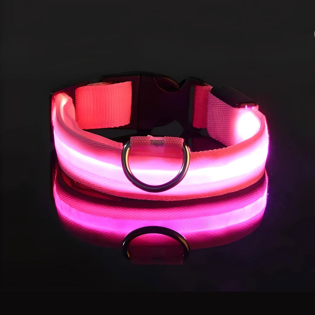 Adjustable LED Dog Collar - USB Rechargeable, Flashing Safety Light, Multiple Sizes