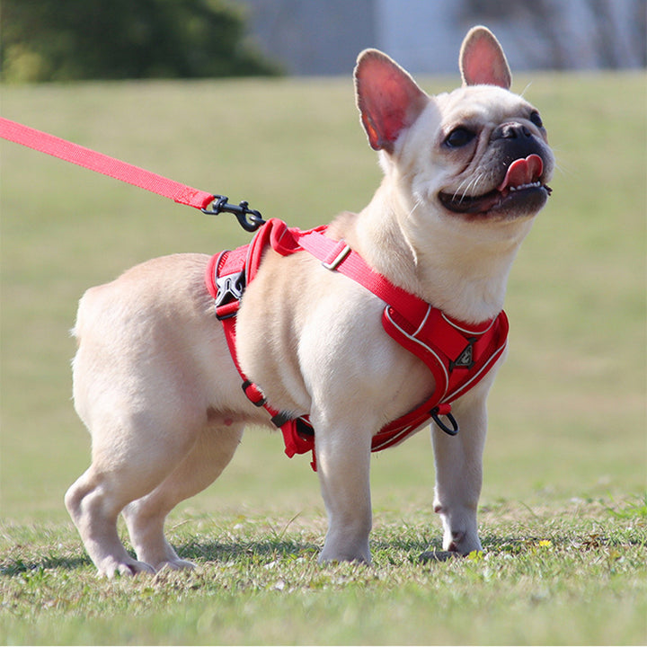 Adjustable Reflective No-Pull Dog Harness and Leash Set for Small and Medium Dogs