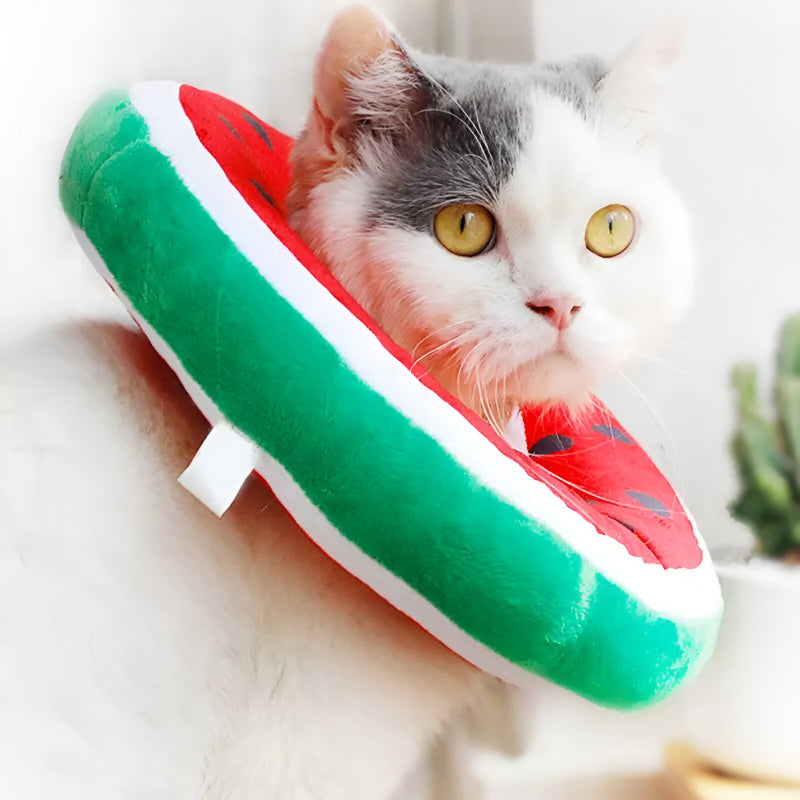 Adjustable Fruit-Shaped Cat and Dog Elizabethan Collar