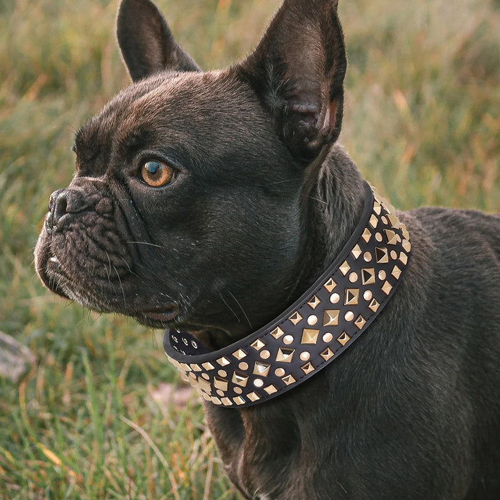 2" Wide Spiked Leather Dog Collar Adjustable for Pitbull, Bulldog, and Large Dogs