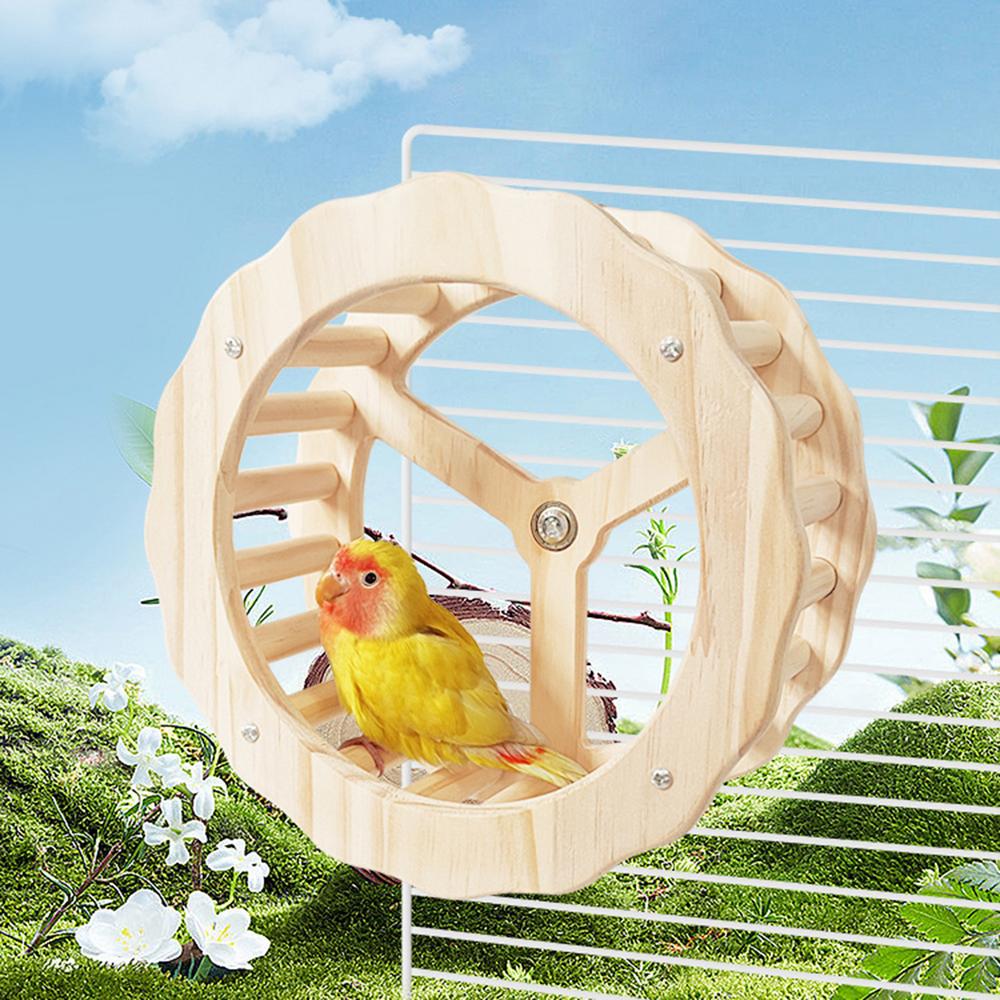 Wooden Exercise Wheel