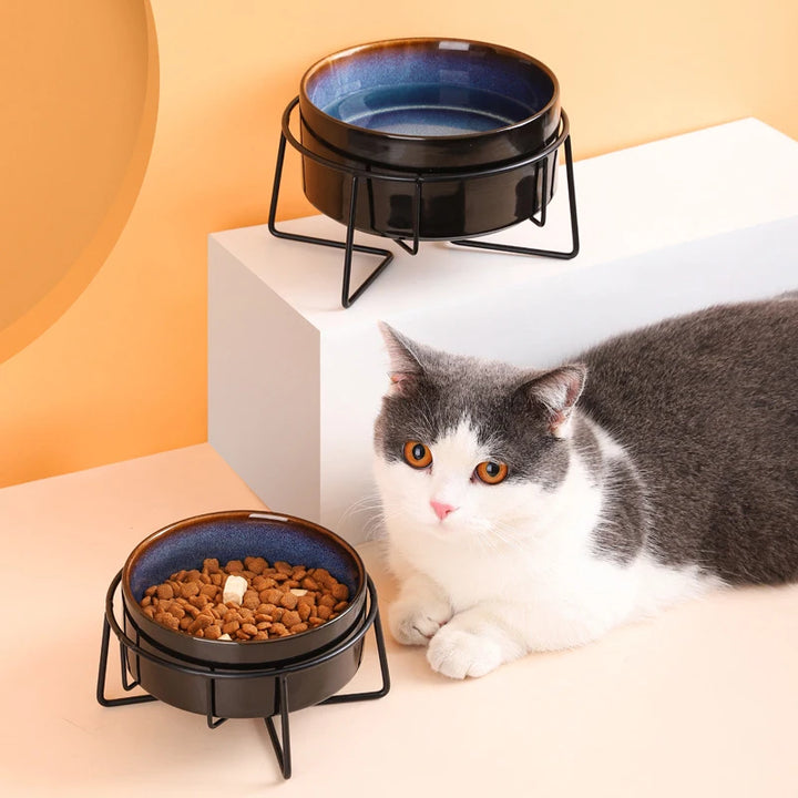 Double Cat Food Bowls with Iron Stand - Starry Pet Feeding Bowls for Cats and Small Dogs