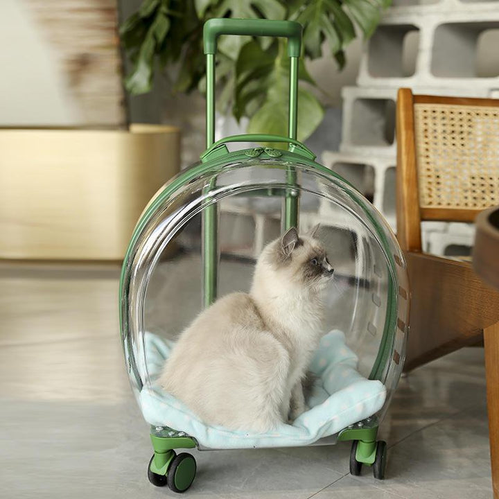 Transparent & Translucent Pet Trolley Backpack for Cats & Small Dogs