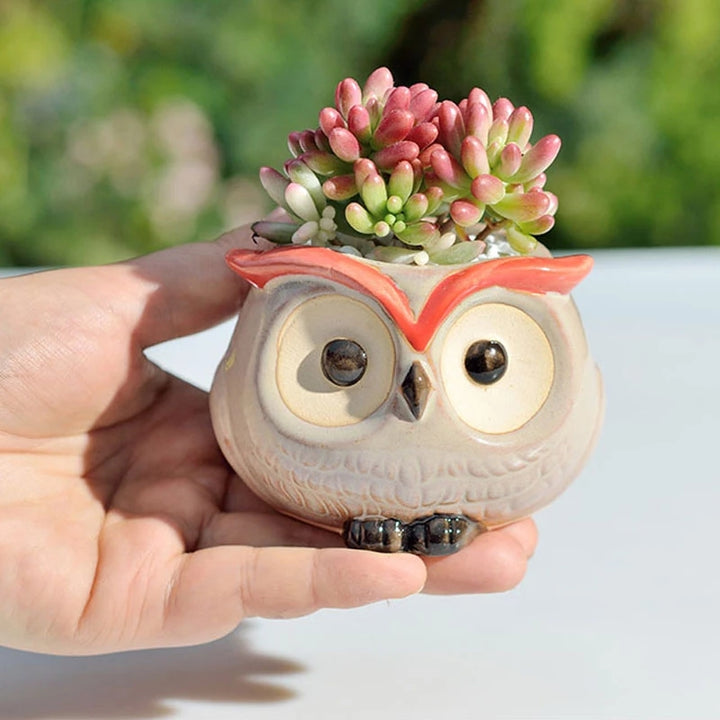 Cute Owl Ceramic Flower Pot Planter