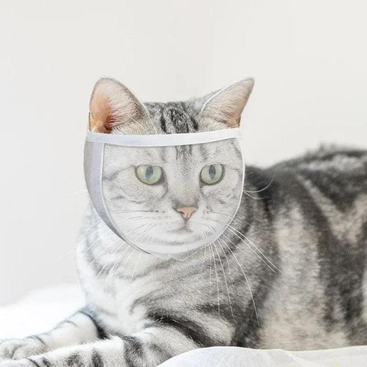 Transparent Cat Muzzle