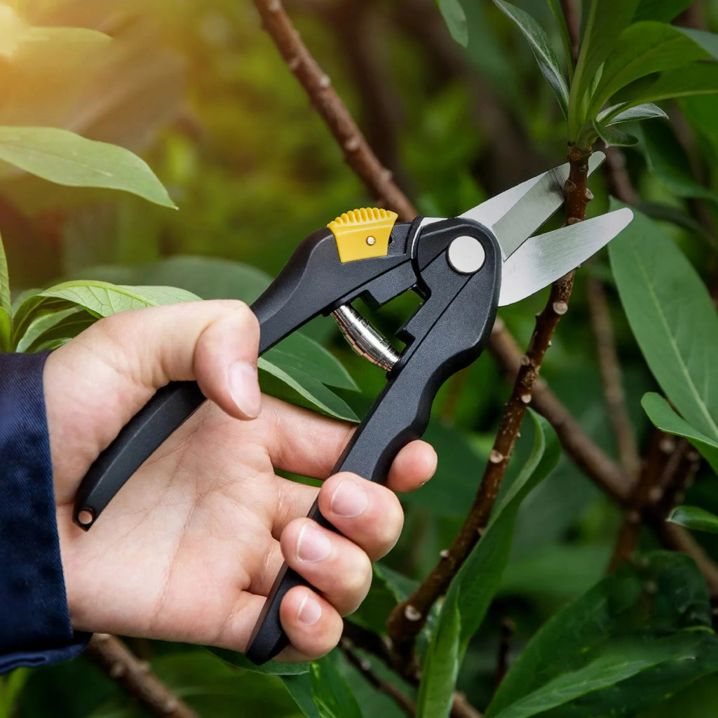 8 Inch Garden Pruning Shears for Bonsai, Fruit Trees, and Flowers