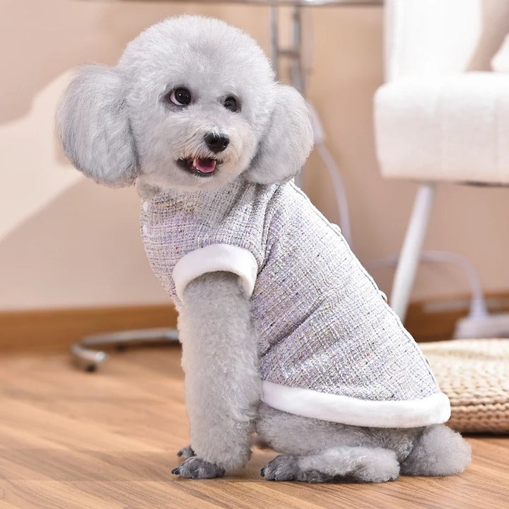 Luxury Dachshund Winter Coat with Pearl Design and Fur Collar