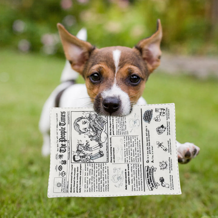 Durable Funny Newspaper Dog Chew Toy