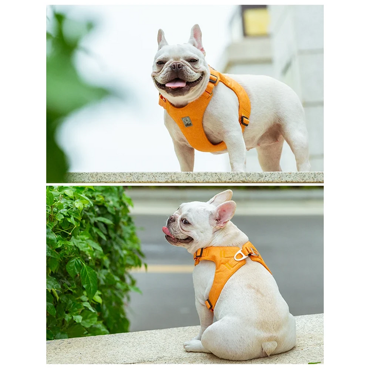 Eco-Friendly Adjustable No-Pull Pet Harness