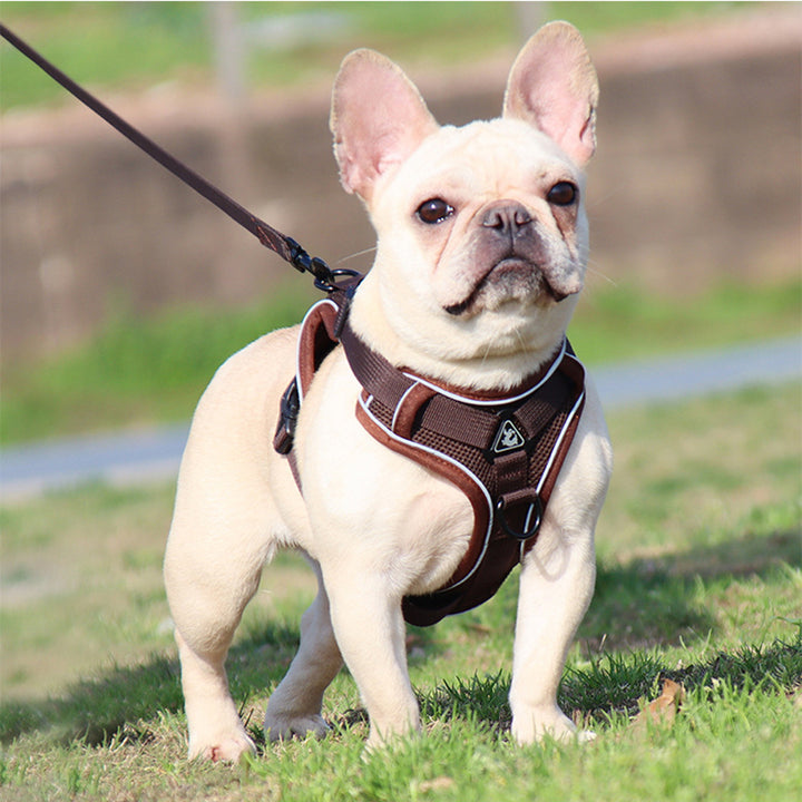 Adjustable Reflective No-Pull Dog Harness and Leash Set for Small and Medium Dogs