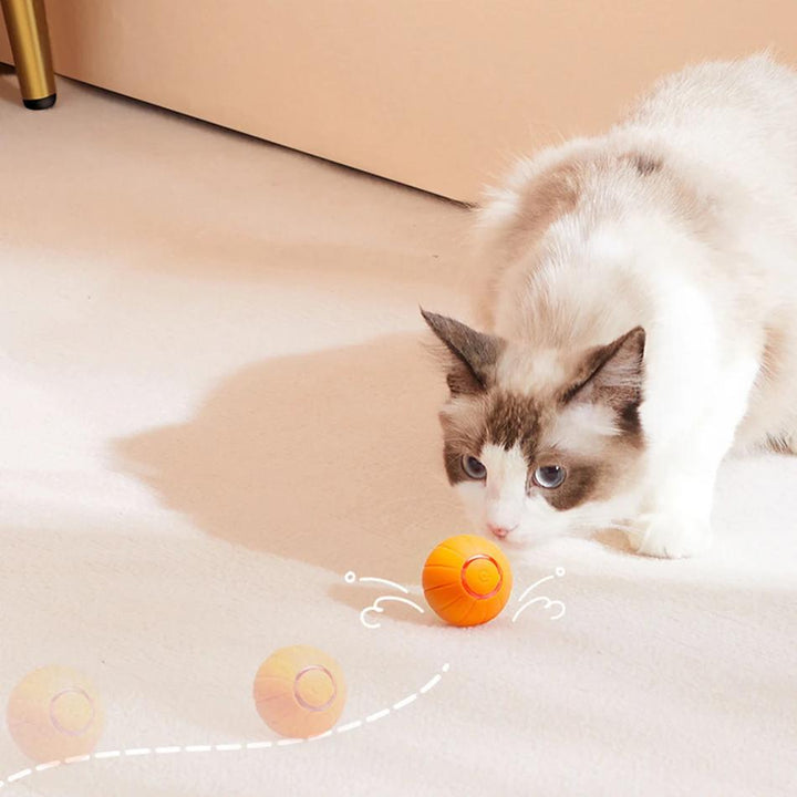 Smart Interactive Cat Toy