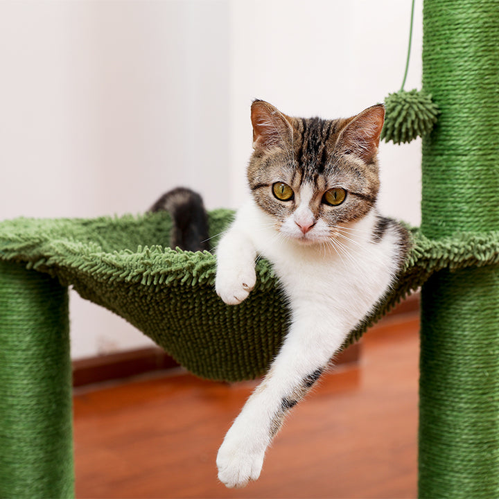 Cactus Cat Scratching Post with Hammock