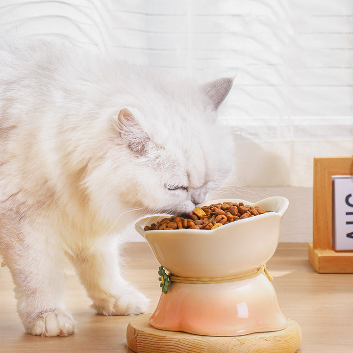 Elevated Gradient Ceramic Pet Bowl