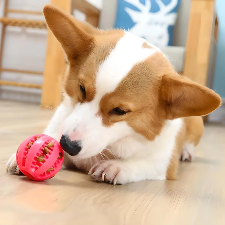 Interactive Dog Treat Ball for Teeth Cleaning and Play