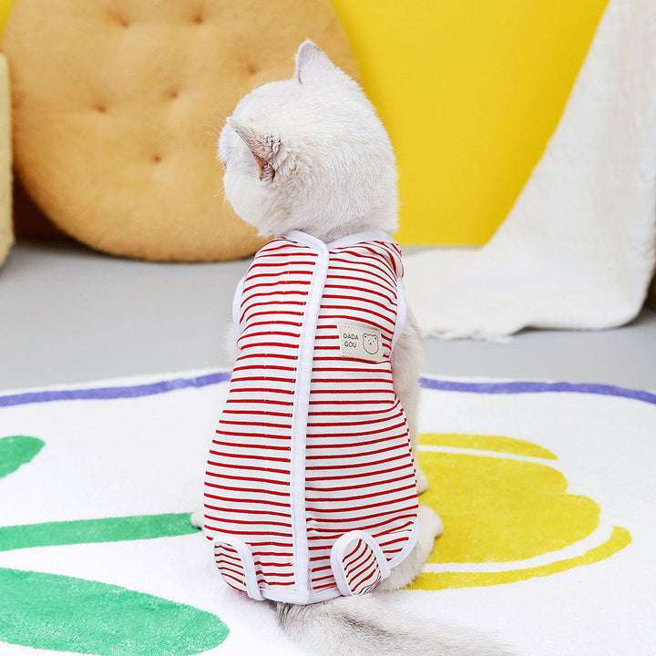 Kitten Recovery Suit