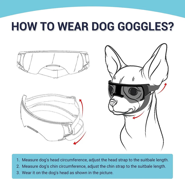 Small Dog Sunglasses