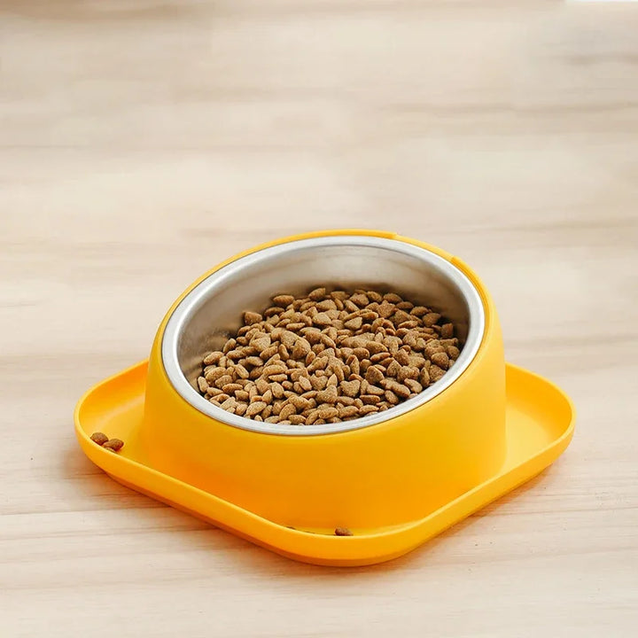 Anti-Ant Cat Feeder