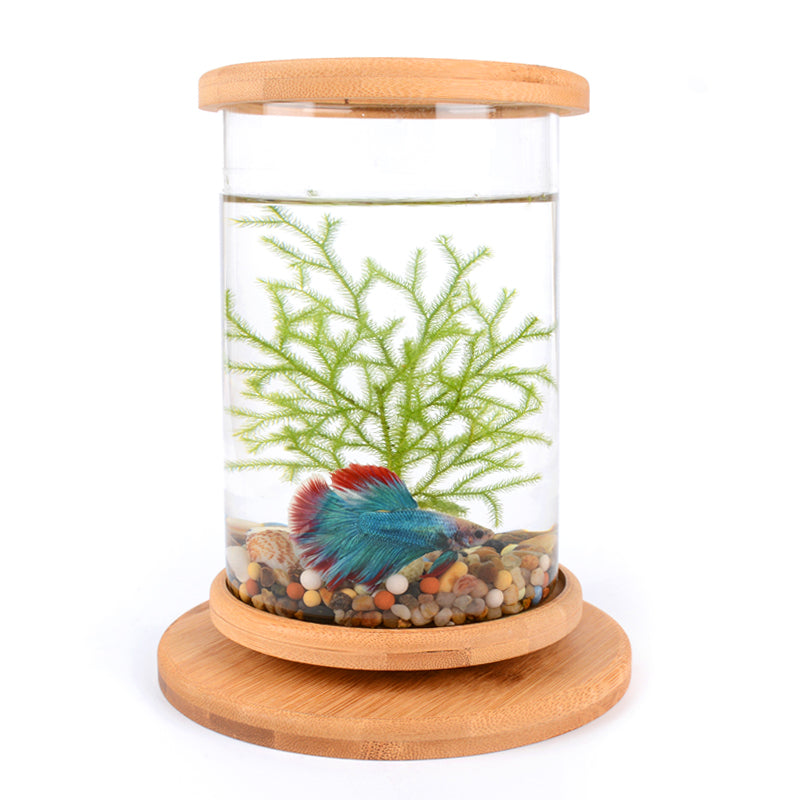 Rotatable Mini Fish Tank