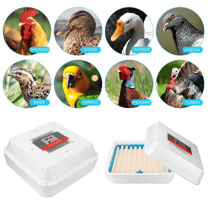 110/220V 70Pcs Eggs Incubator Fully Automatic Egg Hatcher Machine LED Turner Chicken Duck - MRSLM