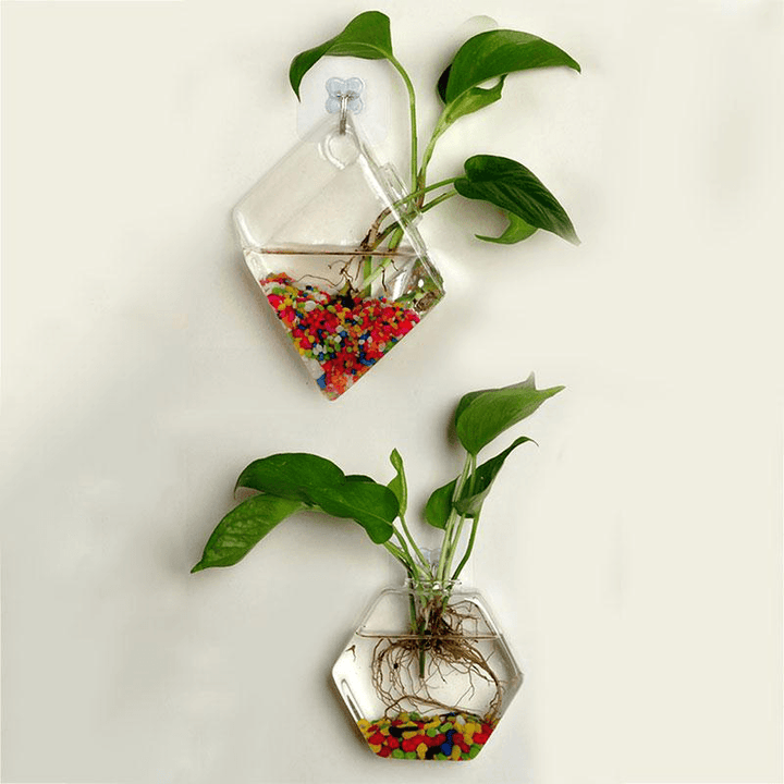 Creative Wall Hanging Transparent Glass Vase Fish Tank Hydroponic Living Room Home Decor - MRSLM